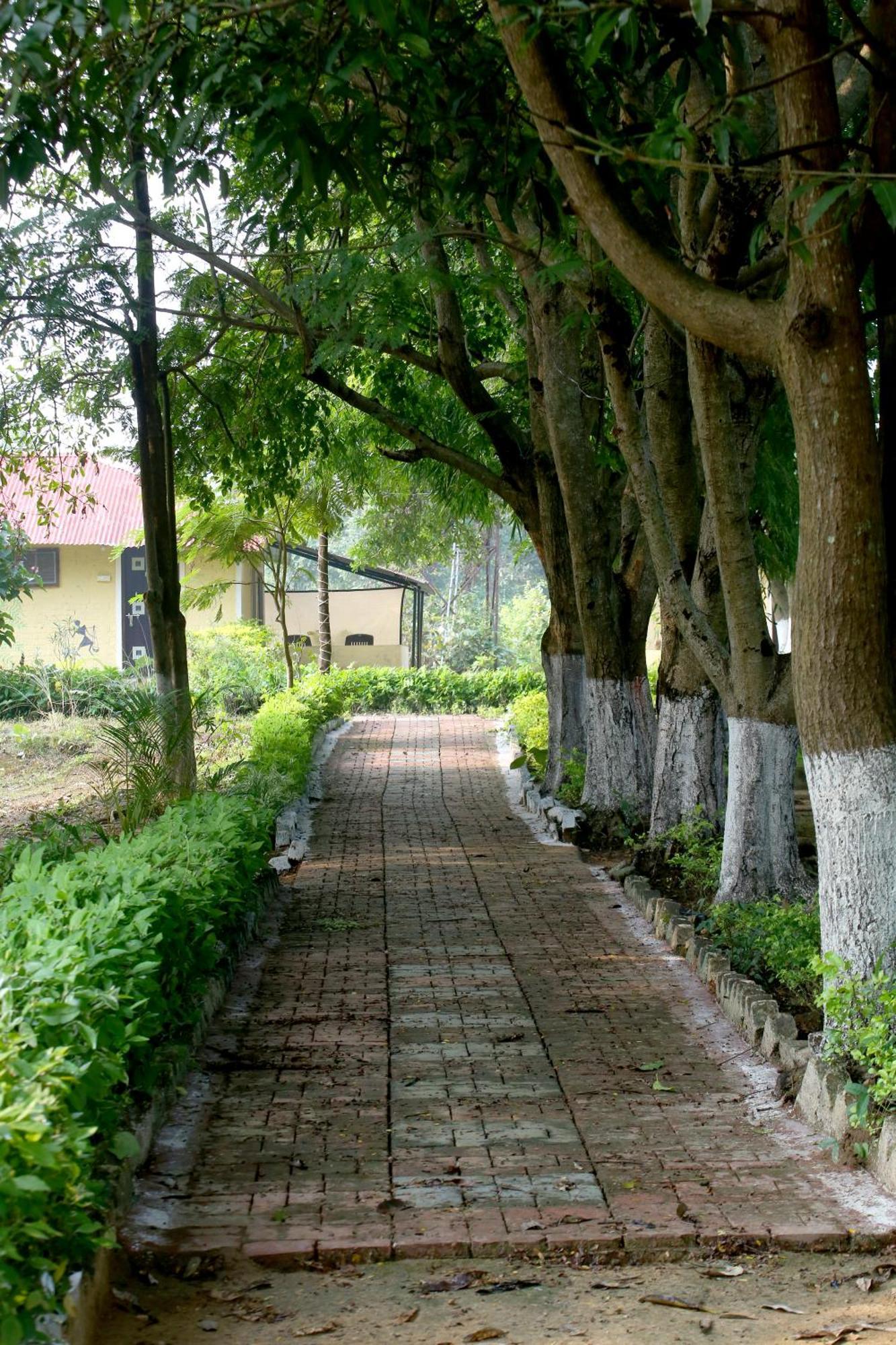 Tribal Wood Resort Dhanwār Exterior foto